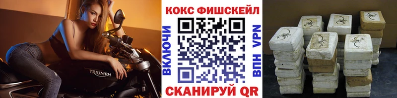 где найти наркотики  Богородицк  Кокаин FishScale 