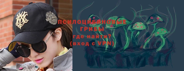 МДПВ Пестово