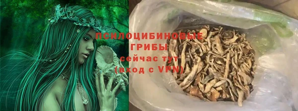 МДПВ Пестово