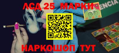 СК Апшеронск