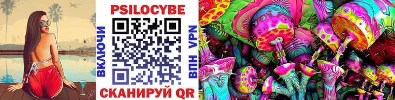 Псилоцибиновые грибы мухоморы  даркнет сайт  Богородицк 