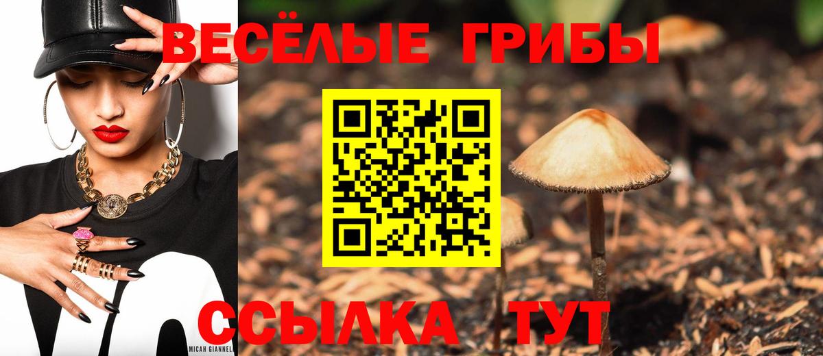 Псилоцибиновые грибы Psilocybe  Вход с VPN  Богородицк  Псилоцибиновые грибы Psilocybe 