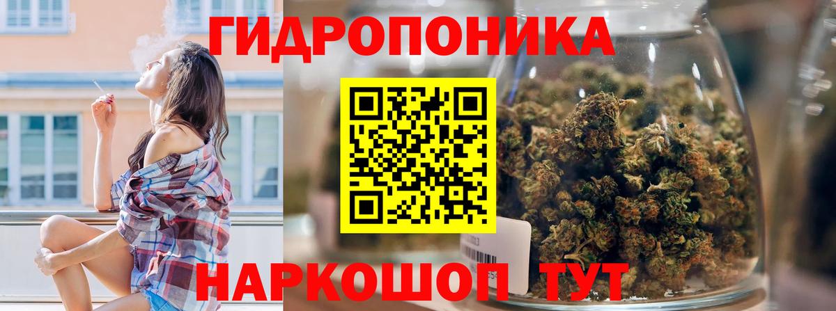 Бошки марихуана план  Канабис тримм  Богородицк  Вход с VPN  Марихуана конопля  Бошки Шишки MAZAR 